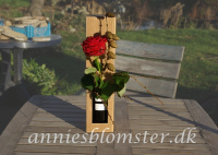 vg001